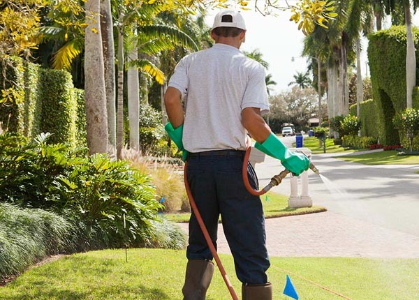 About Ponte Vedra FL Pest Control Pros